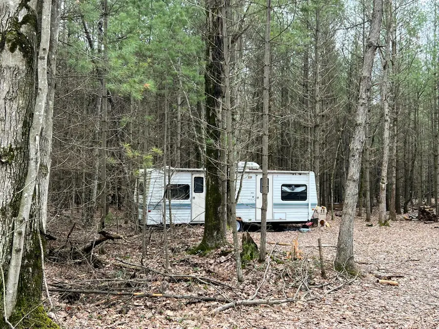 N Cherry Lane, Free Soil, MI 49411 - Image #2