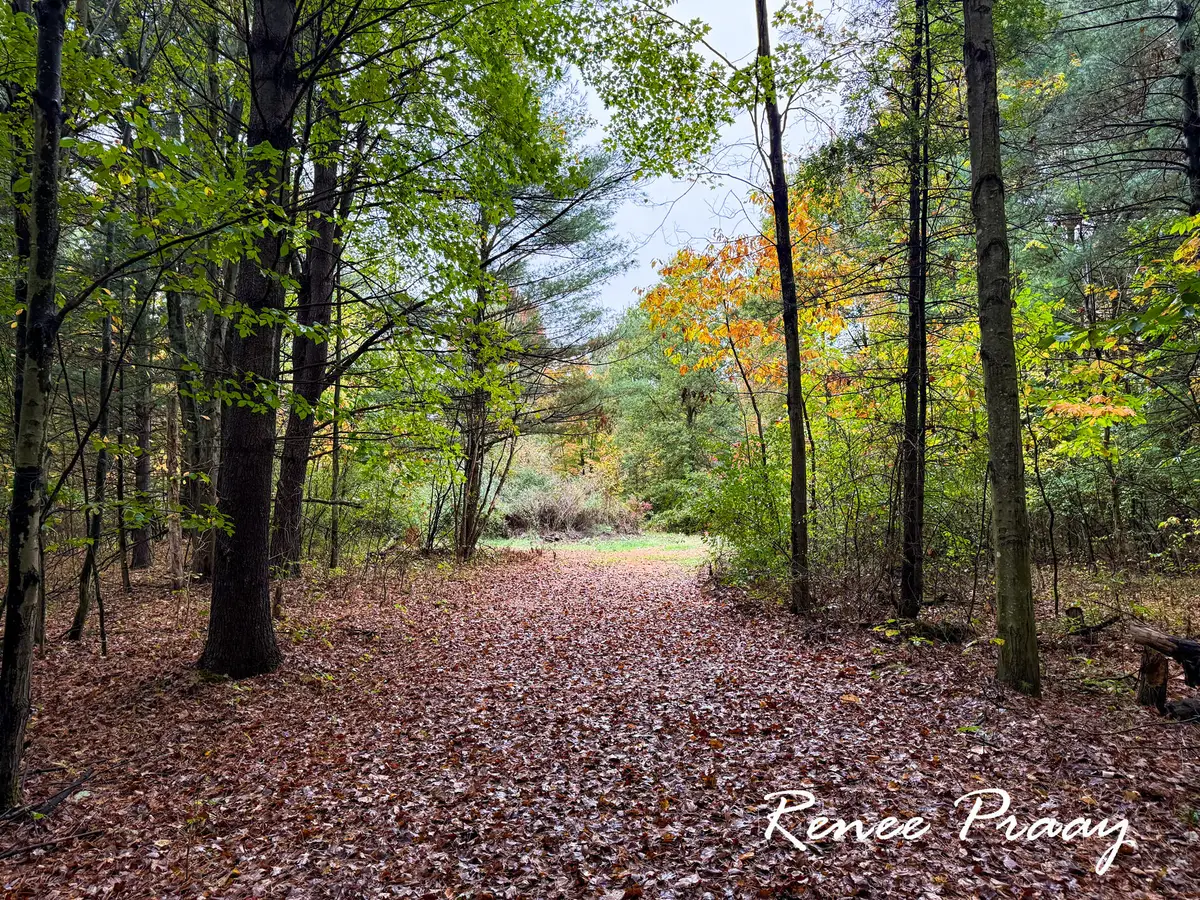 3913 112th Avenue, Allegan, MI 49010 - Image #1