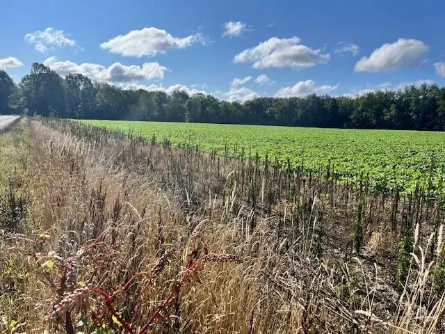 5656 E O Avenue, Kalamazoo, MI 49048 - Image #3