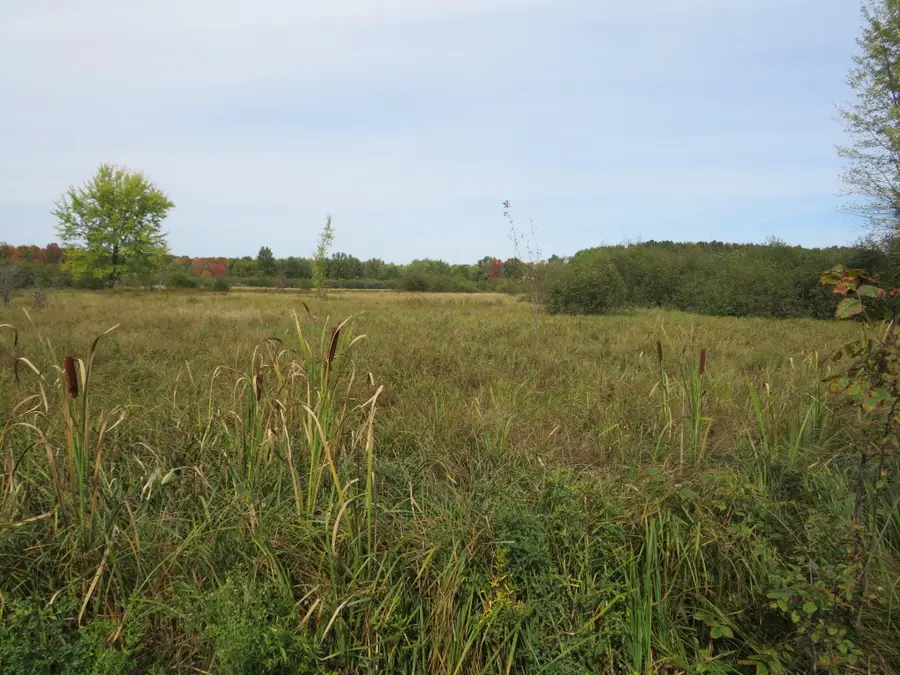 Vl 17 Mile Road, Marion, MI 49665 - Image #3