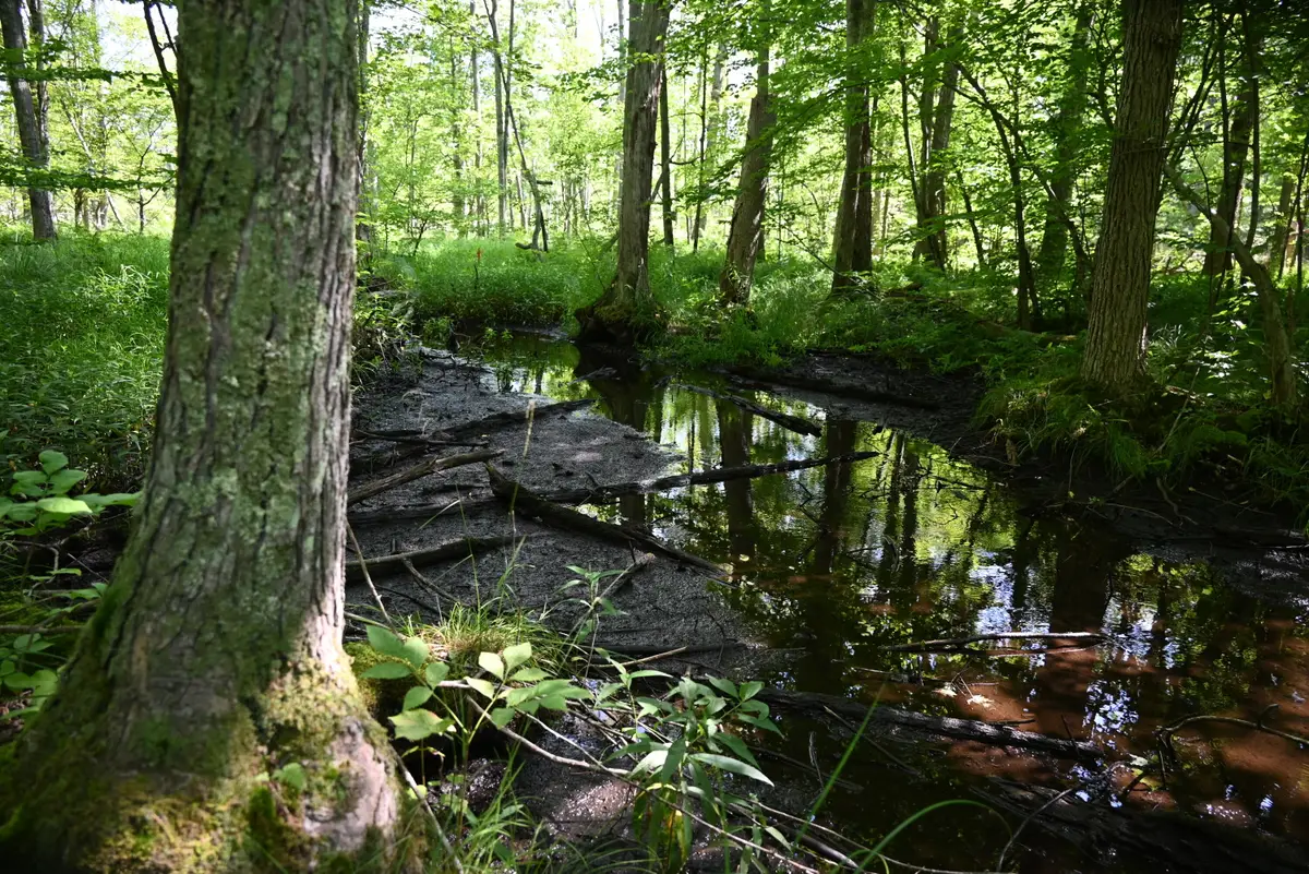 0 36th Street, Newaygo, MI 49337 - Image #1