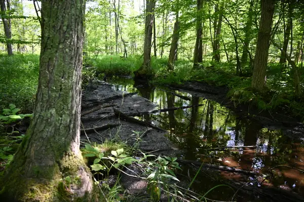 0 36th Street, Newaygo, MI 49337