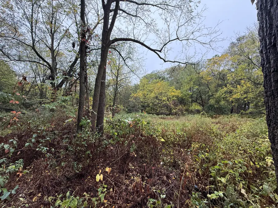 771 N Main Street, Plainwell, MI 49080 - Image #2