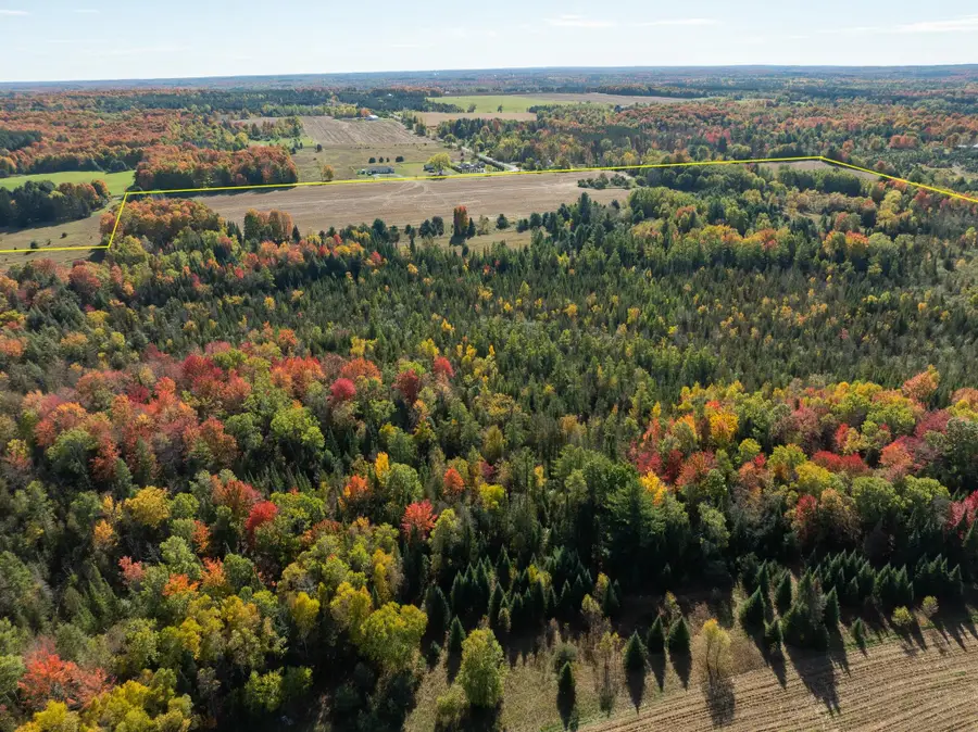 7200 E 46 Road, Cadillac, MI 49601 - Image #2