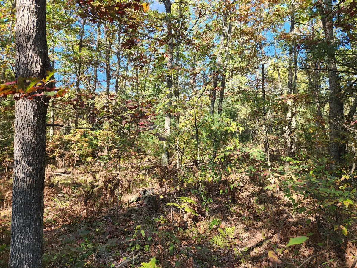 259 S Baker Road, Wellston, MI 49689 - Image #1