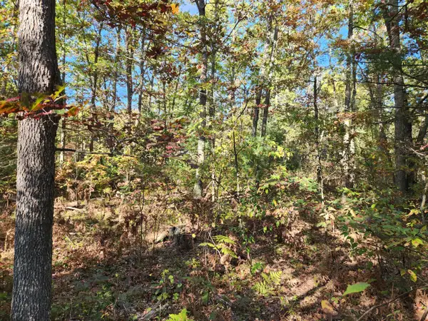 259 S Baker Road, Wellston, MI 49689