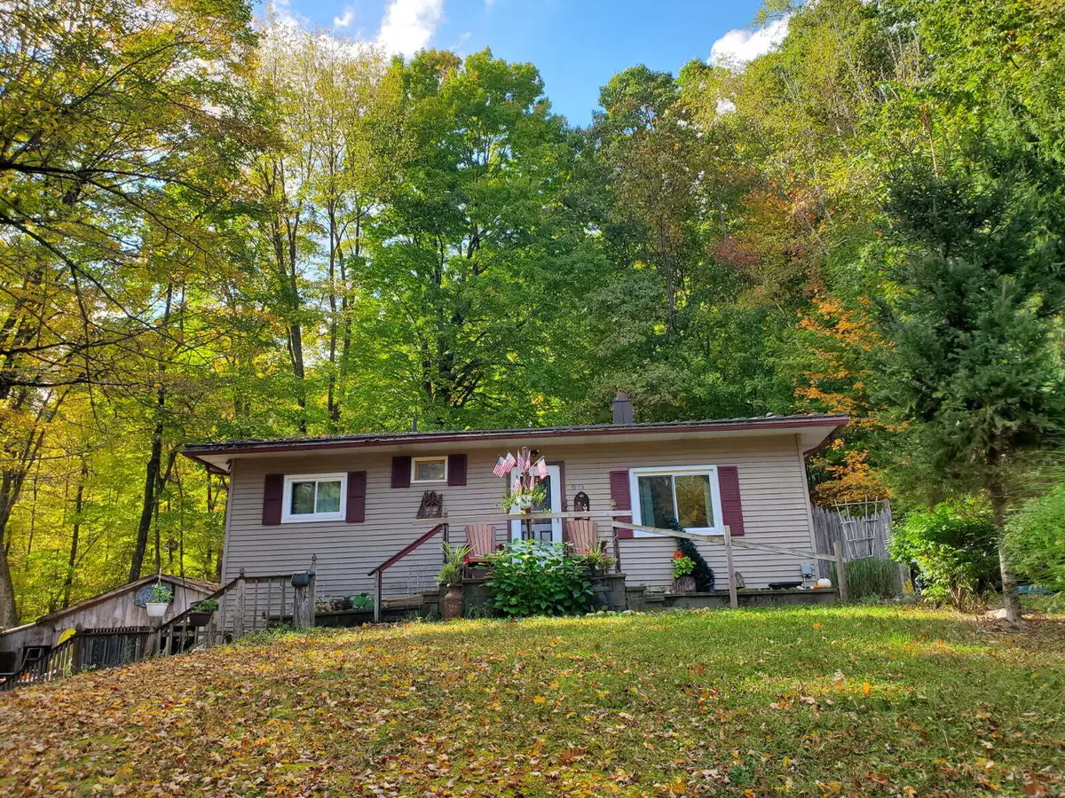 9173 220th Avenue, Stanwood, MI 49346 - Image #1