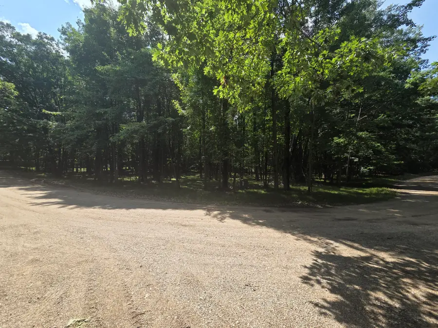 12121 Trail Creek, Canadian Lakes, MI 49346 - Image #3