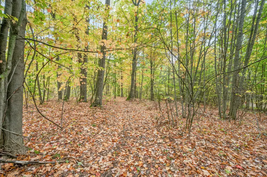 V/L 05 8 Mile Rd, Evart, MI 49631 - Image #3