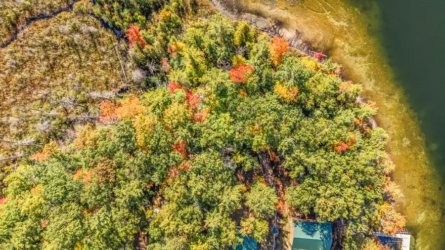 V/L Lots 26 & 27 Irving Ave, Bitely, MI 49309 - Image #2