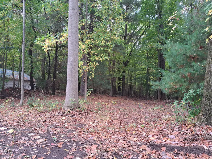 Vacant Lot Silver Saddle Road, Grand Junction, MI 49056 - Image #3