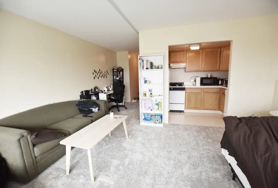 555 E William Street #19L, Ann Arbor, MI 48104 - Image #3