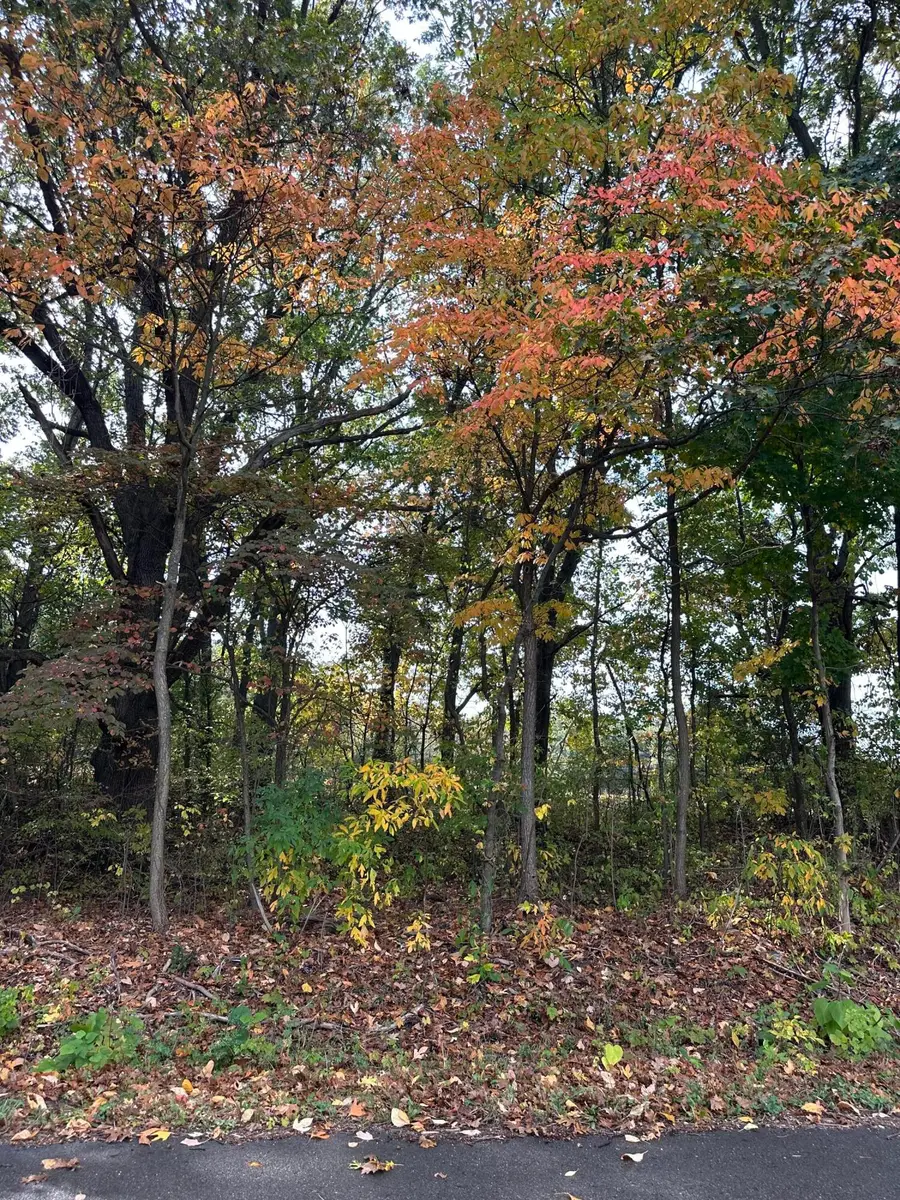 VL Pierce Road, Plainwell, MI 49080 - Image #2