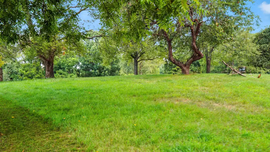 583 Blackberry Drive Drive, Coldwater, MI 49036 - Image #3