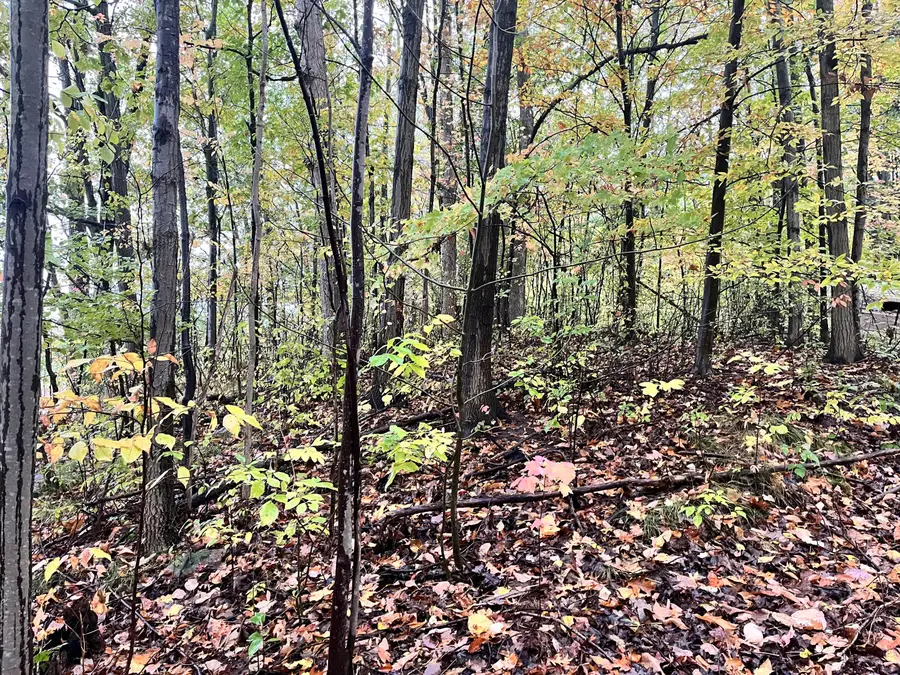 6477 E 128th Street, Sand Lake, MI 49343 - Image #3