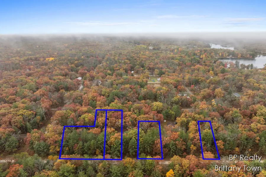 1305 E Henry Street, Idlewild, MI 49642 - Image #2