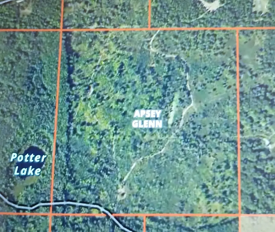 7767 W Richie Rd Road, Hubbard Lake, MI 49747 - Image #2