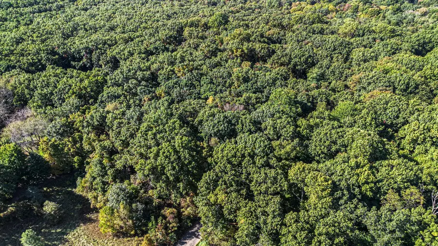 4520 Ross Drive, Benton Harbor, MI 49022 - Image #3