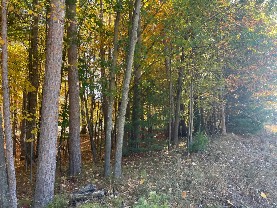 Oakridge Drive #Lot 1, Ludington, MI 49431 - Image #3