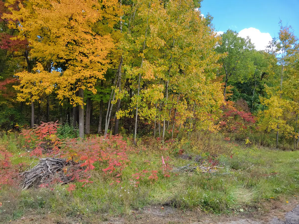 74016 Ridgeway Drive, Lawton, MI 49065 - Image #1