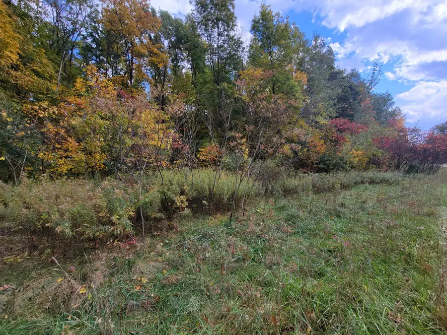 74016 Ridgeway Drive, Lawton, MI 49065 - Image #3