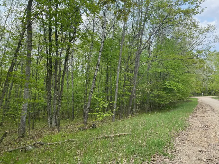 Ticino Drive, Reed City, MI 49677 - Image #3