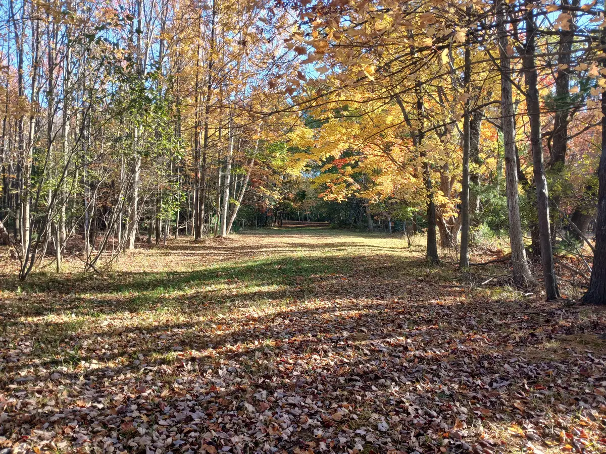 W Branch Street, Pentwater, MI 49449 - #1