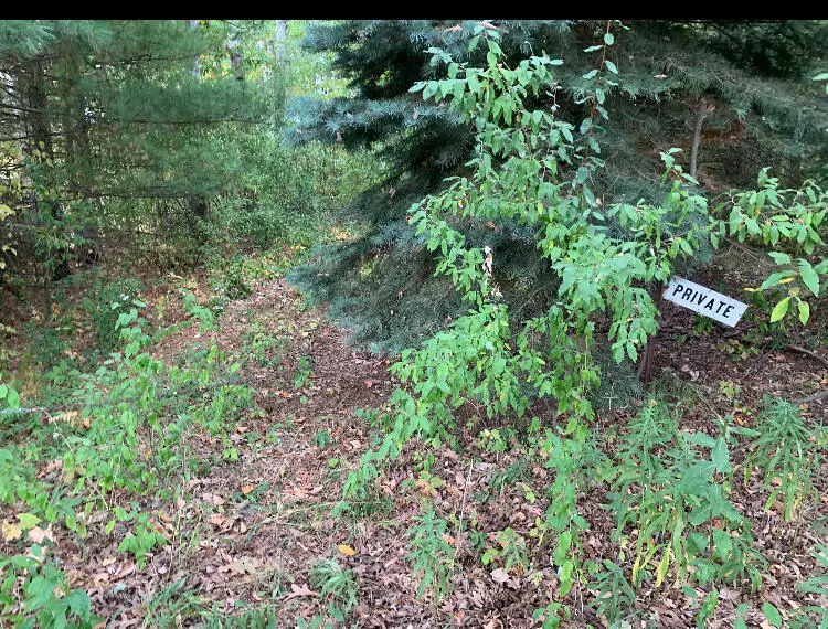 E Rossel Lake Road, Walkerville, MI 49459 - Image #1