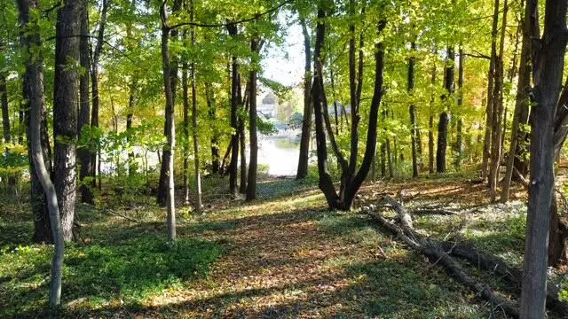 2900 Redbud Trail, Kalamazoo, MI 49009 - Image #3