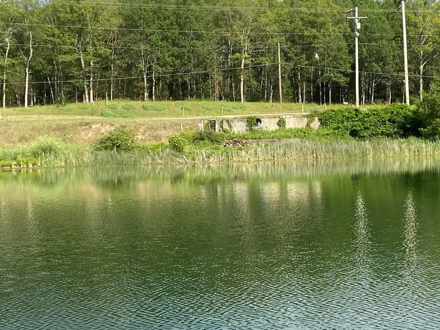 4953 M-37, Baldwin, MI 49304 - Image #3