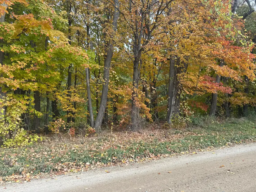 12831 Strotheide Street Ne, Belding, MI 48809 - Image #2