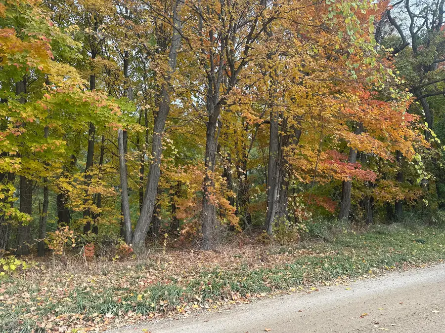 12831 Strotheide Street Ne, Belding, MI 48809 - Image #3