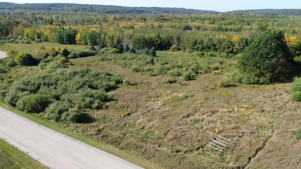 Lots 4,5,6 Fox Lane, Benzonia, MI 49616 - Image #1