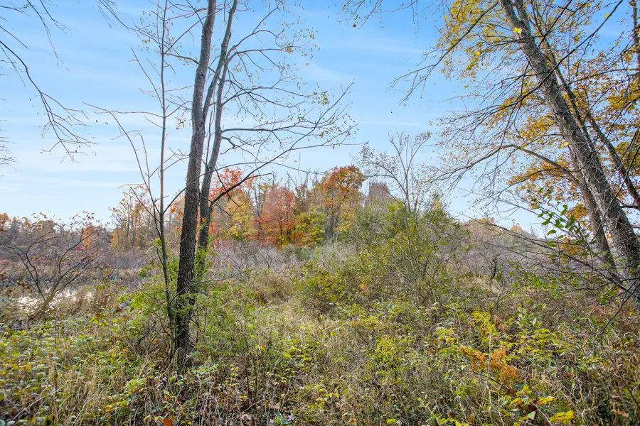 15800 N Drive N, Marshall, MI 49068 - Image #2