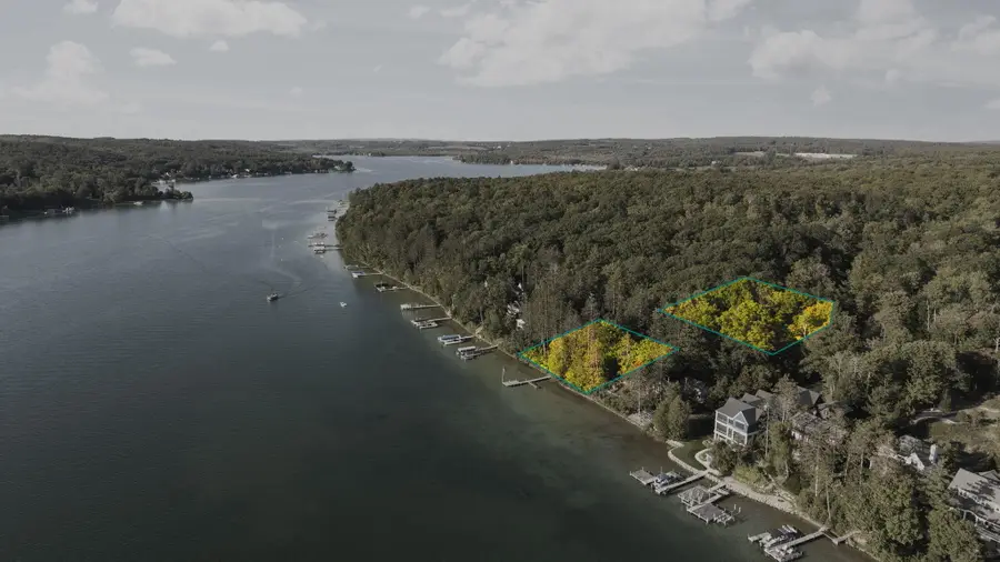 818 Whitfield View, Walloon Lake, MI 49796 - Image #3