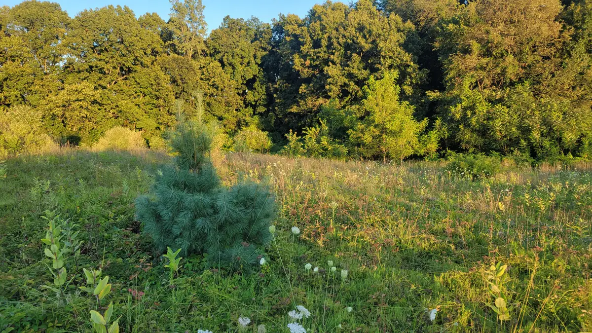 44702 56th Avenue, Paw Paw, MI 49079 - Image #1