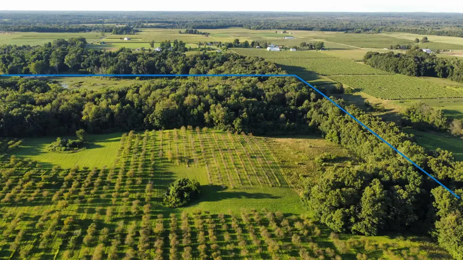 44702 56th Avenue, Paw Paw, MI 49079 - Image #2