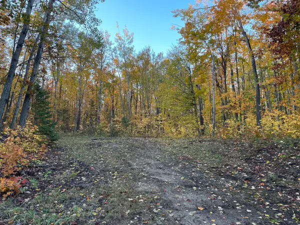 14281 Sandown Court #268 & 269, Cheboygan, MI 49721