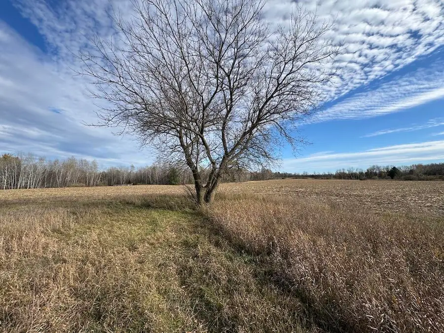 409 S Morrison Road, West Branch, MI 48661 - Image #3