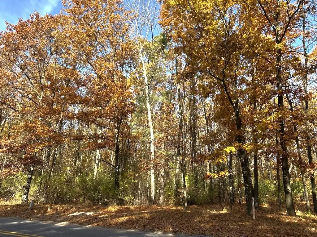 VL Burroughs Street Ne, Lowell, MI 49331 - Image #1