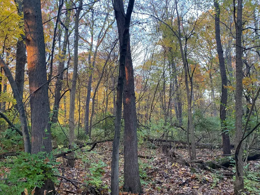 Oak Drive, Three Rivers, MI 49093 - Image #3