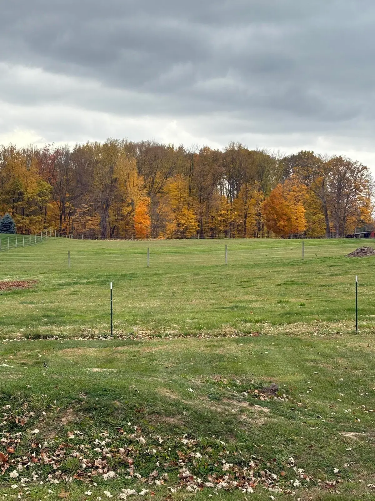 V/L Ivanrest Avenue Sw, Byron Center, MI 49315 - Image #1