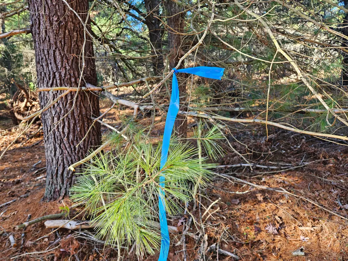 Parcel O Tatanka Trail, Baldwin, MI 49304 - Image #1