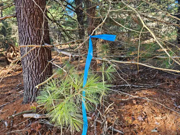 Parcel O Tatanka Trail, Baldwin, MI 49304