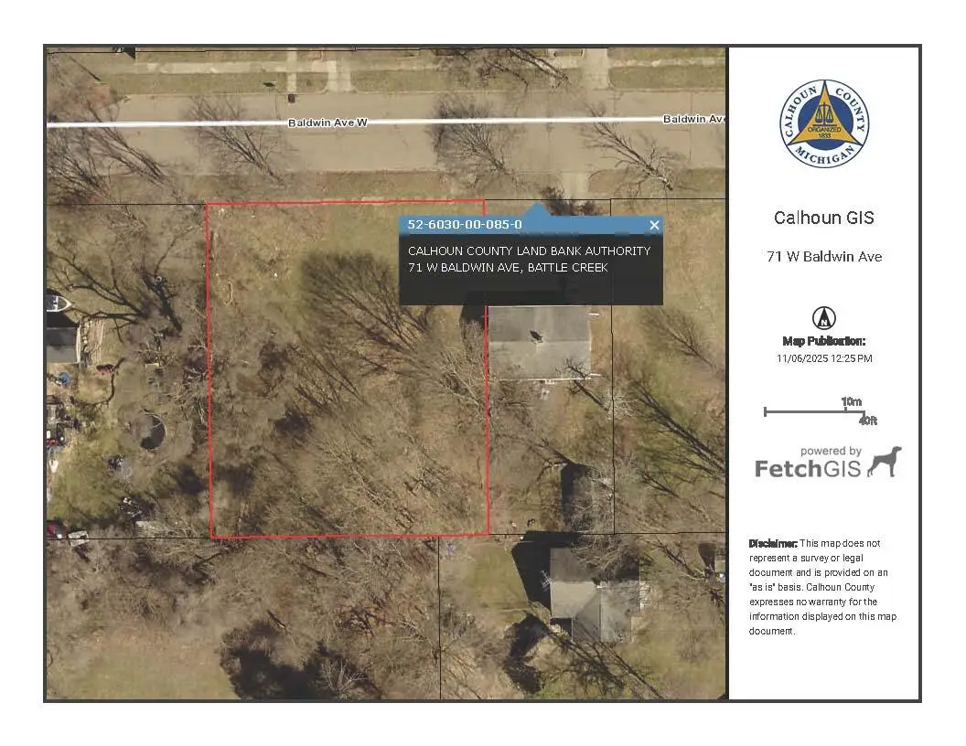 71 W Baldwin Avenue, Battle Creek, MI 49037 - Image #1