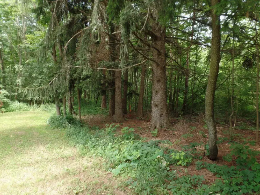 VL Blue Star Highway, Fennville, MI 49408 - Image #3