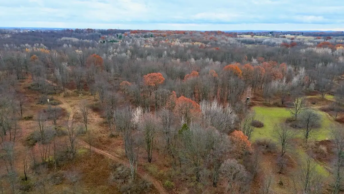 Hatton Road, Farwell, MI 48622 - Image #1