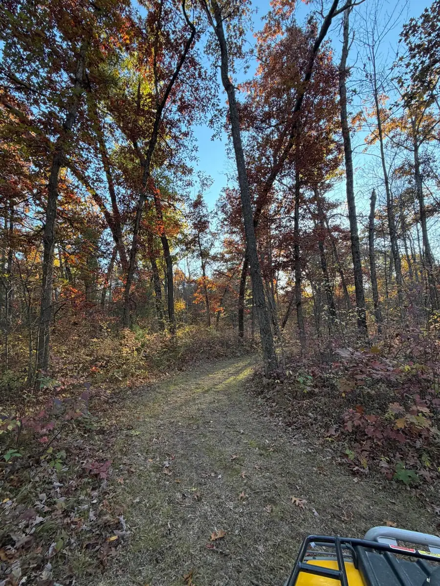 V/L Maple Hill Road #Parcel B, Howard City, MI 49329 - Image #3