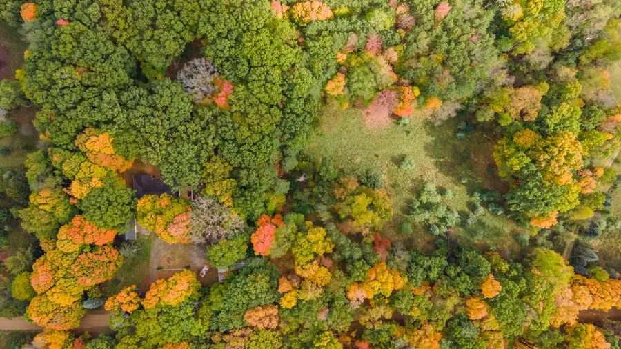 14086 Kane Road, Plainwell, MI 49080 - Image #2