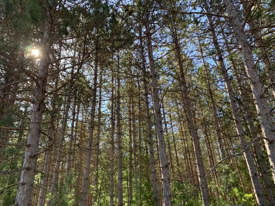 VL Highbridge Rd, Brethren, MI 49619 - Image #3